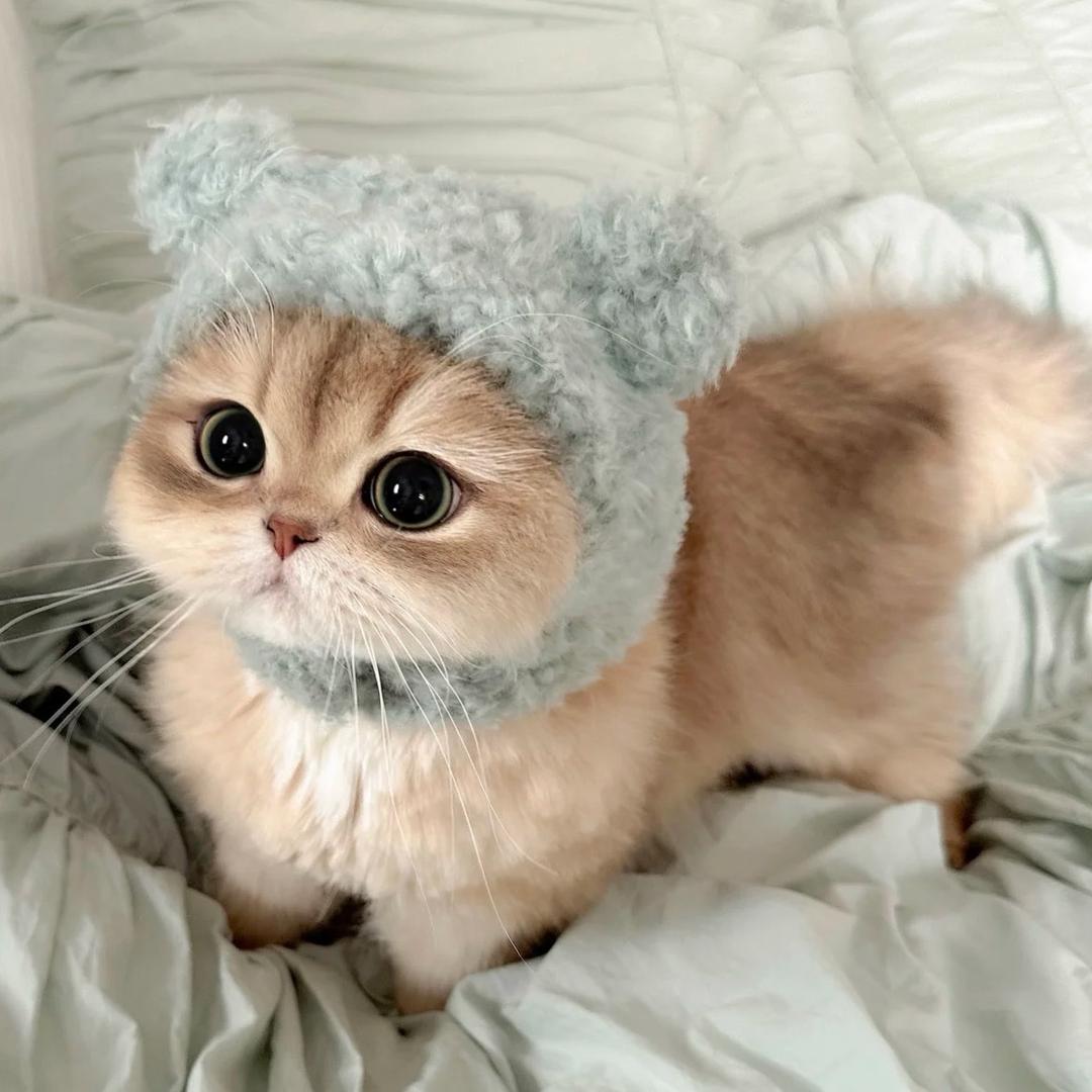 Miiiliei