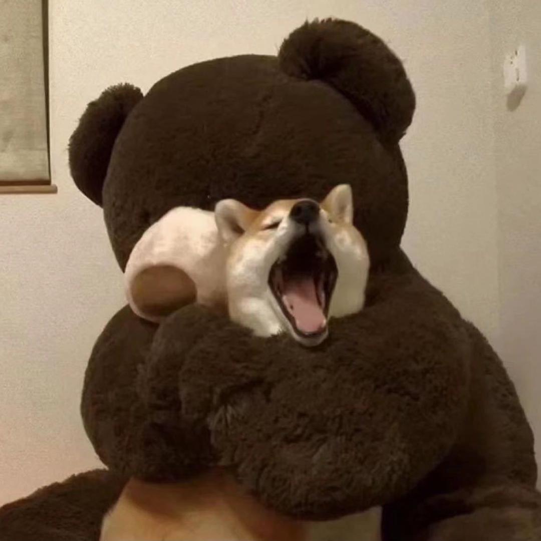 豪…