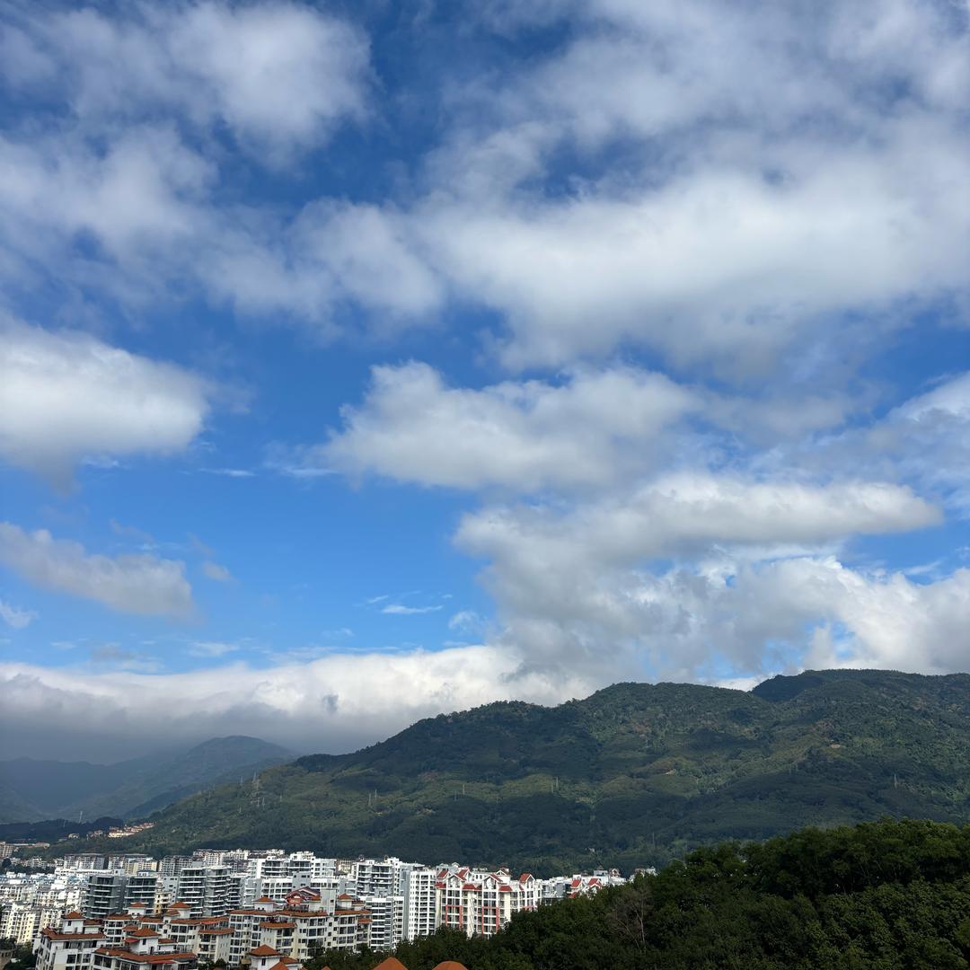 越哥