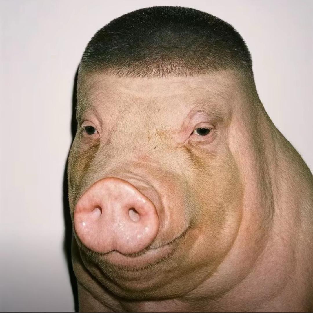 邕州刺青·雕禹1 ¹ ㅤ