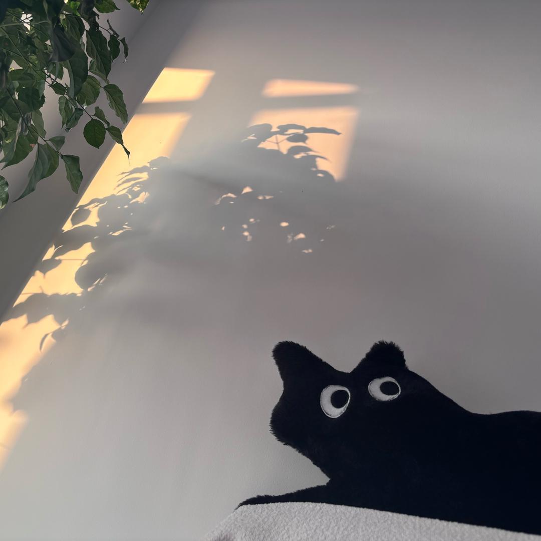 大寒