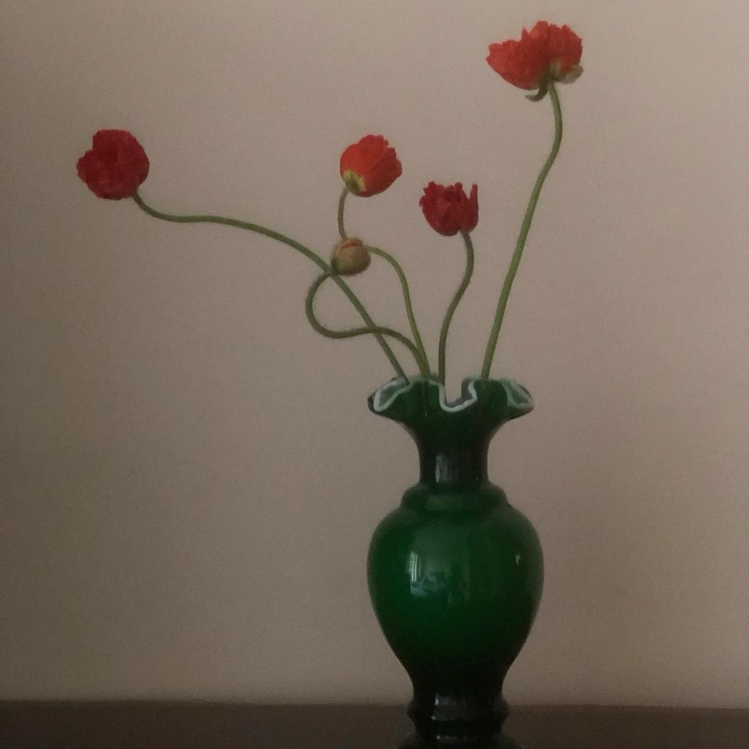 文子蚊子_