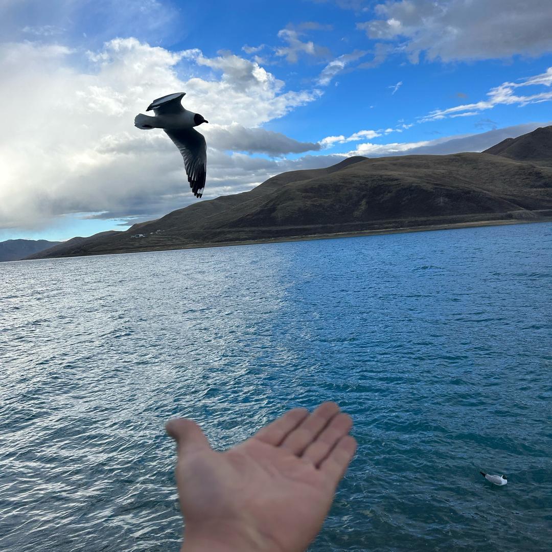 诚驰二手家具厨具收售