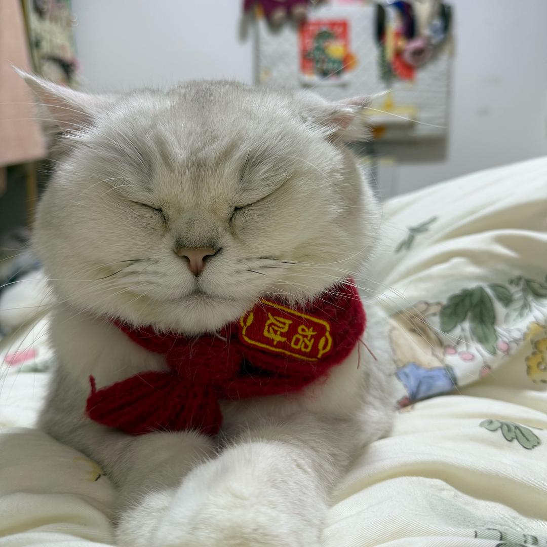 果汁阳台