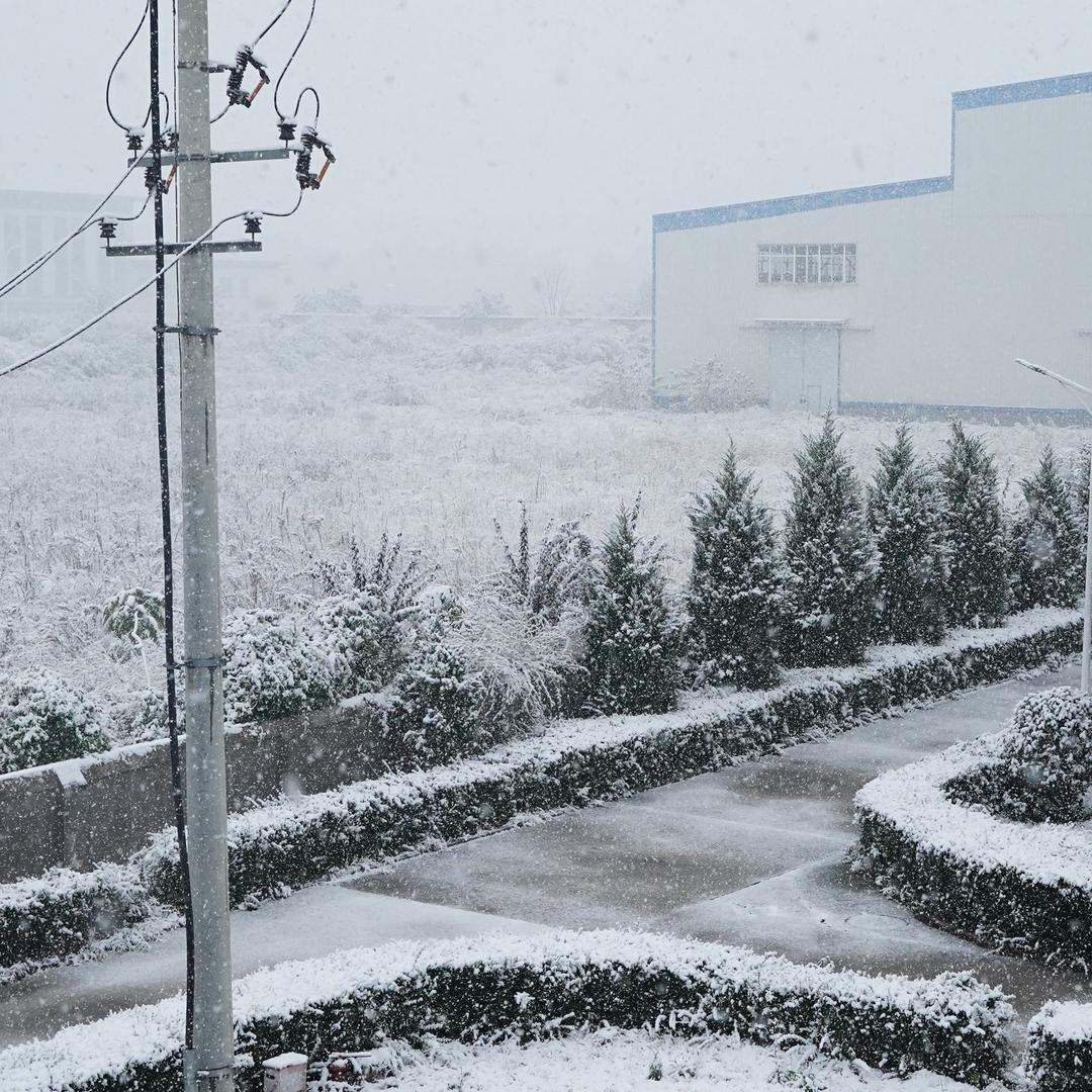 未来永远