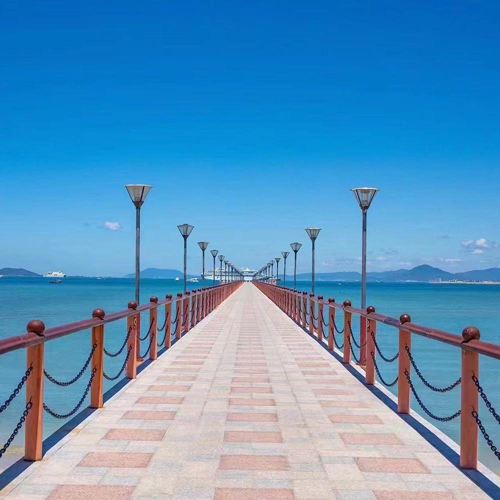 何静
