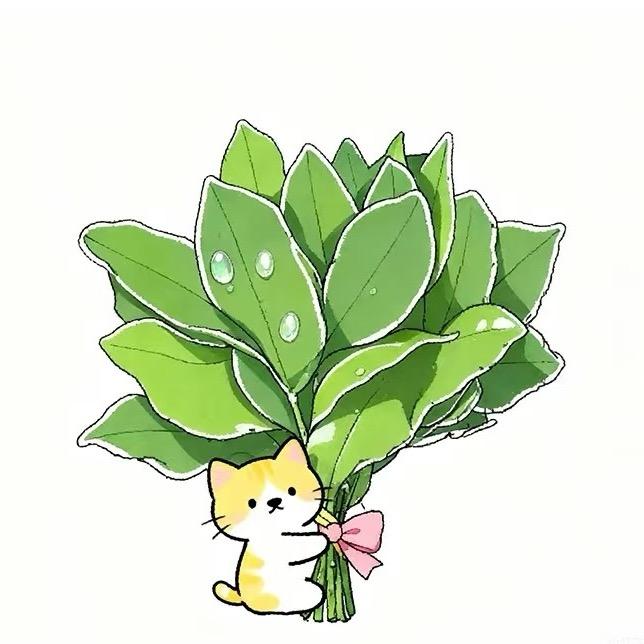 90🐈