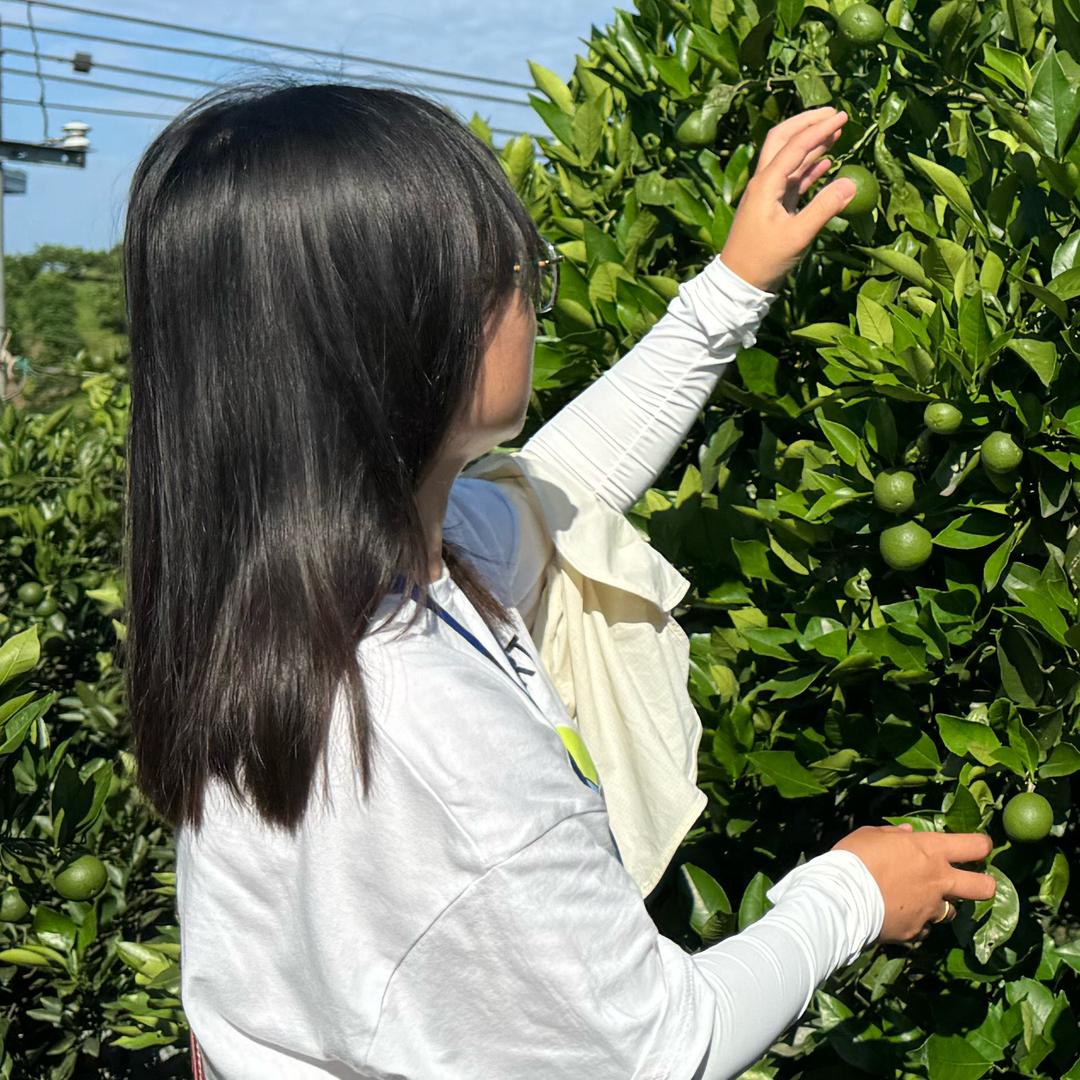 ☀是盖儿吖