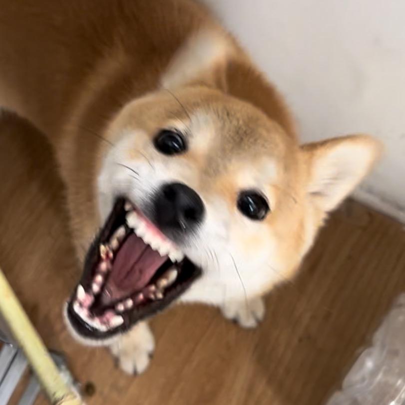 Ahuan