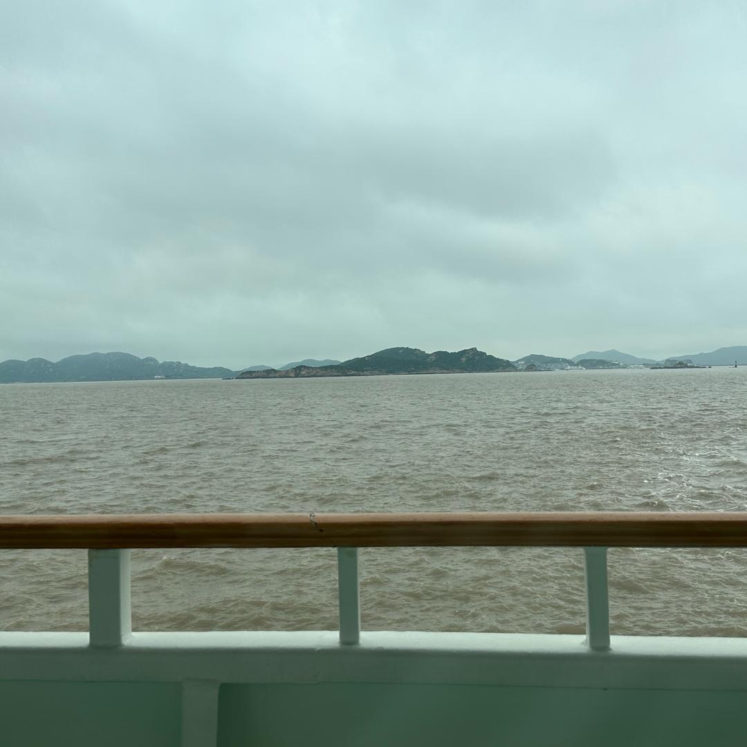浑水摸鱼