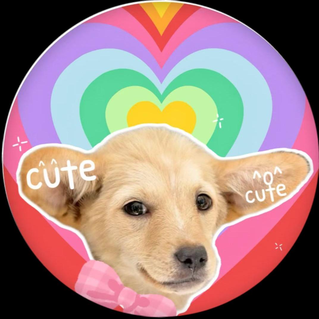 呦呦鹿鸣·小流浪狗的成长日记🐶