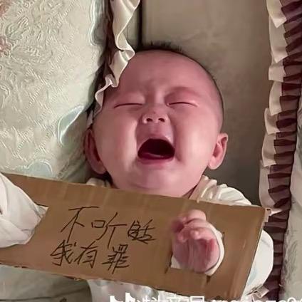 三只小猪