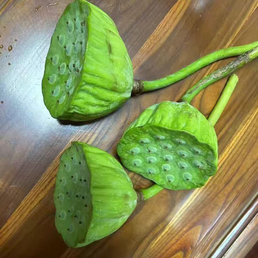 靐齉齾爩