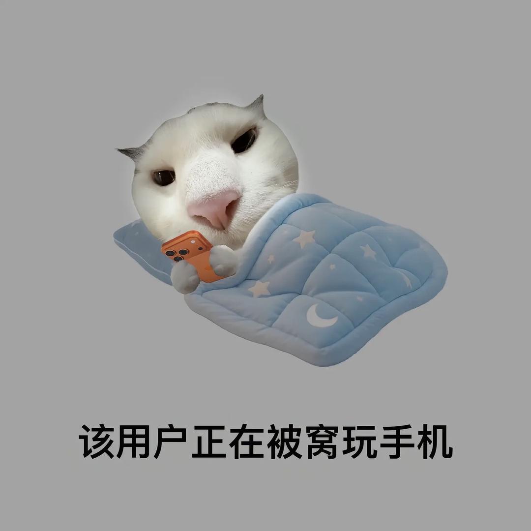 七宿