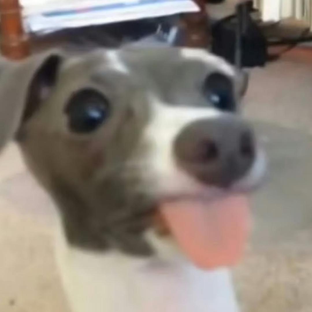 第四面墙