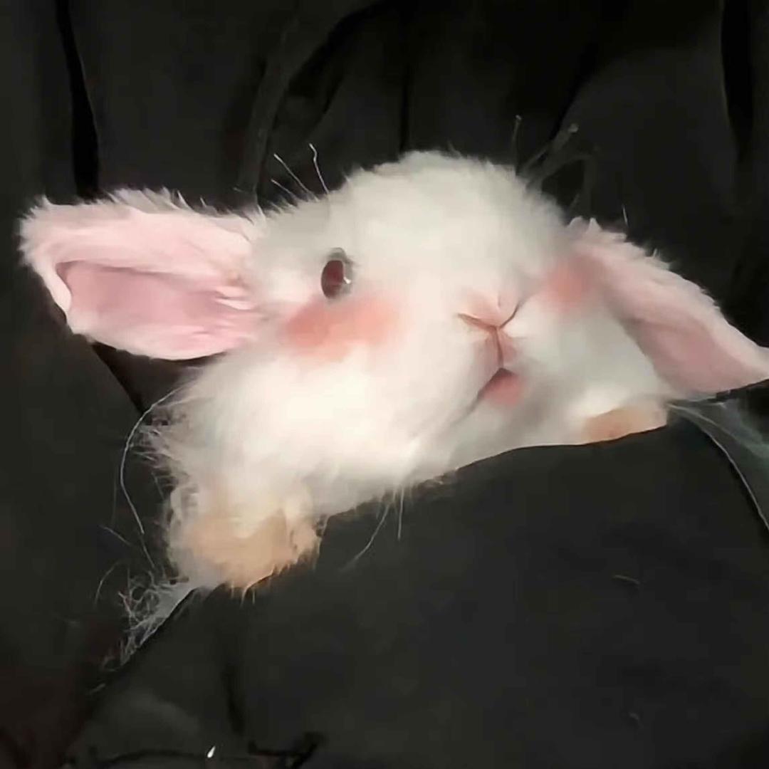 Nan