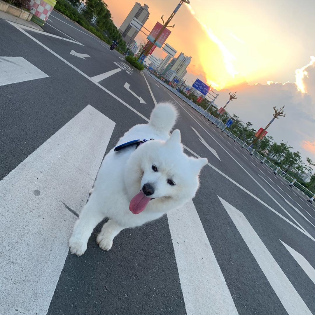 愚昧