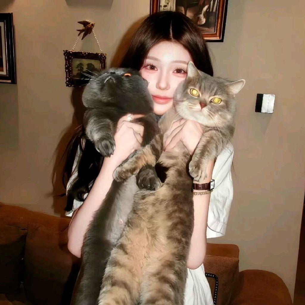 Z&ll