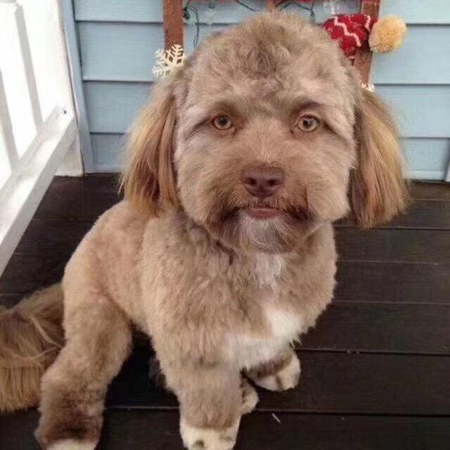 批冰糕🍦就来北区找蚊子