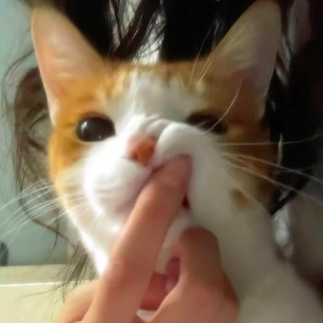 银杏