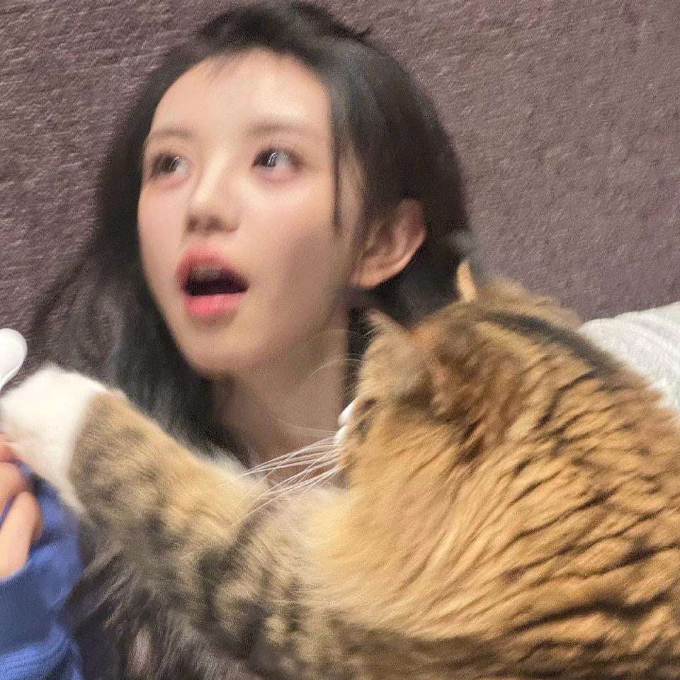 约稿函-