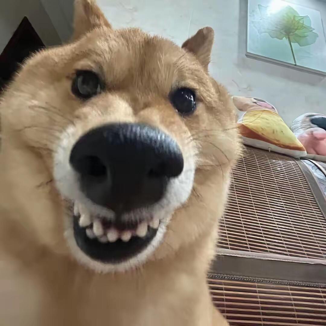 你脸怎么红了.