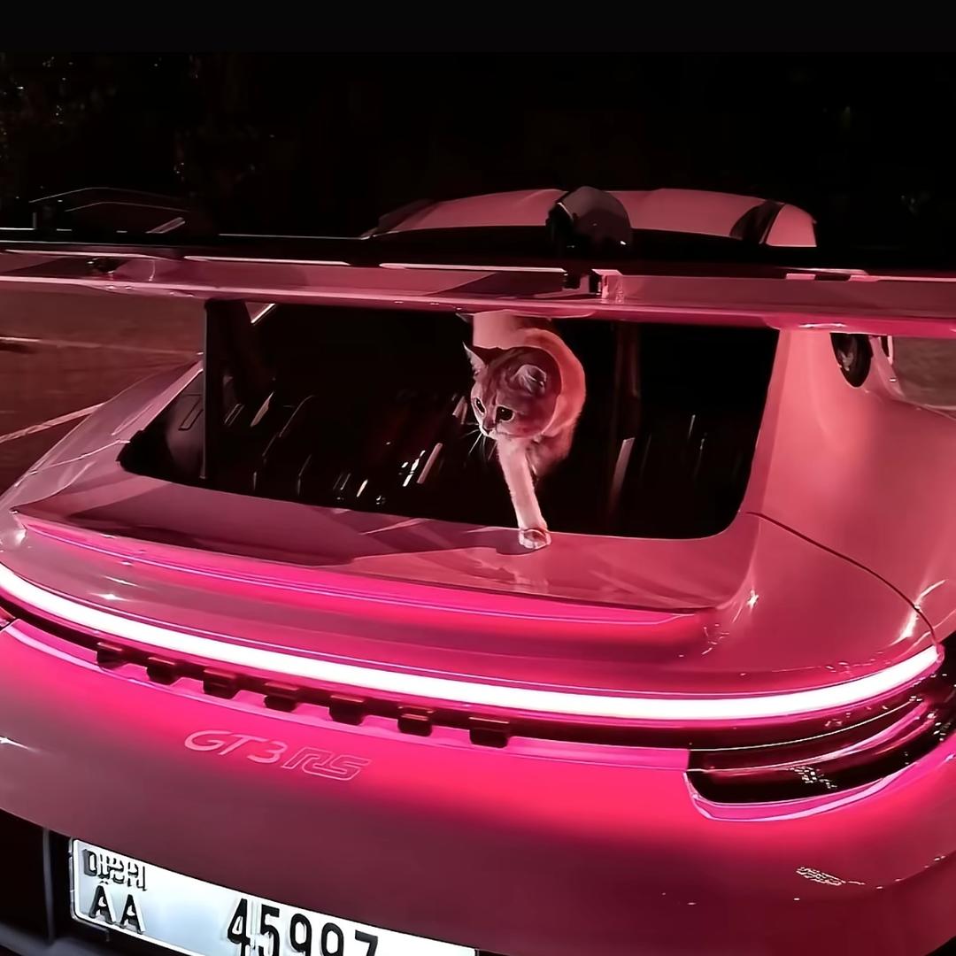 这是小杨呀