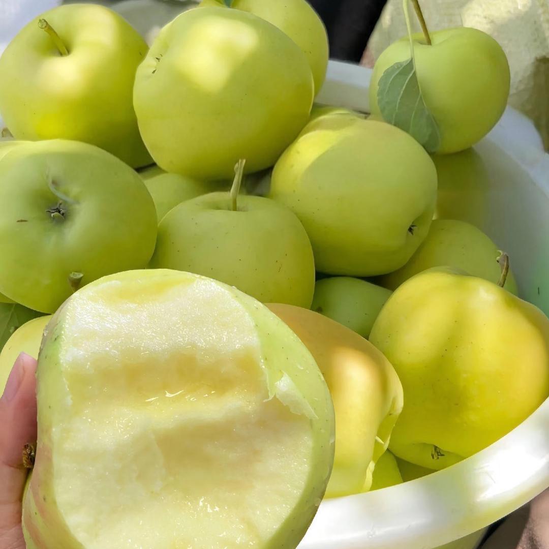 西安双省合作社海口兮极