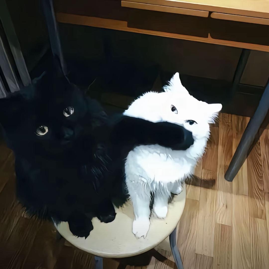 信.