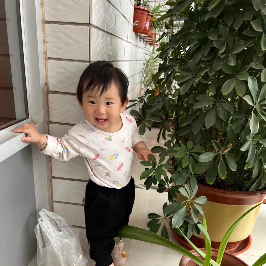 天津市静海区小只水果店