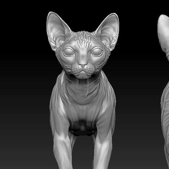 💓古灵精怪💓梁小三《猫咪狗狗养成号》