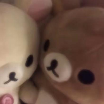 忧郁考拉🐨