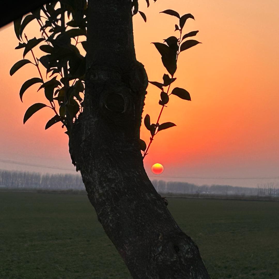 @小红帽👩‍❤️‍👨