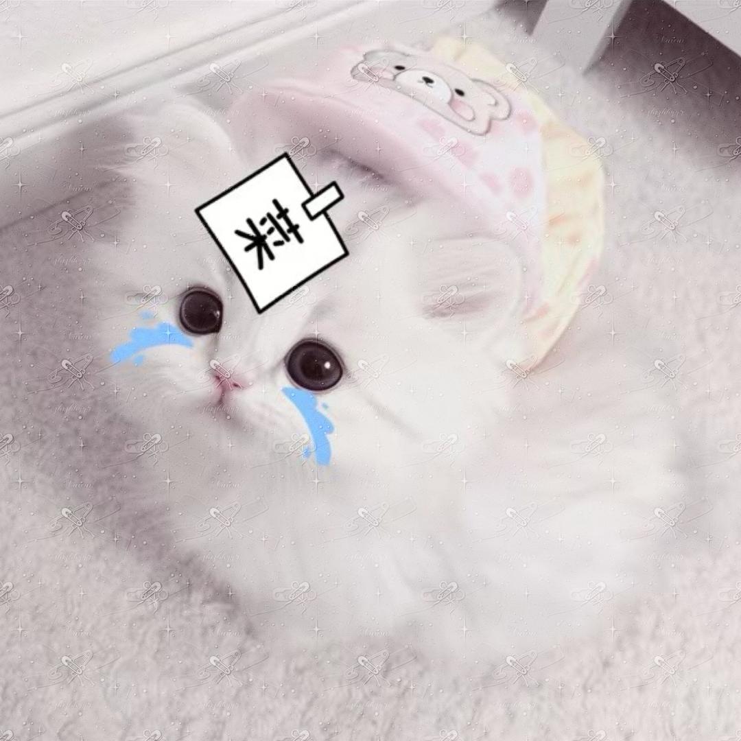 请考虑考虑我的感受