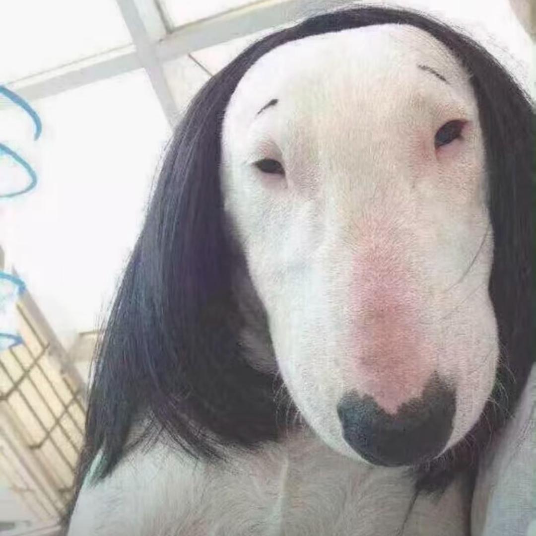 超级狗