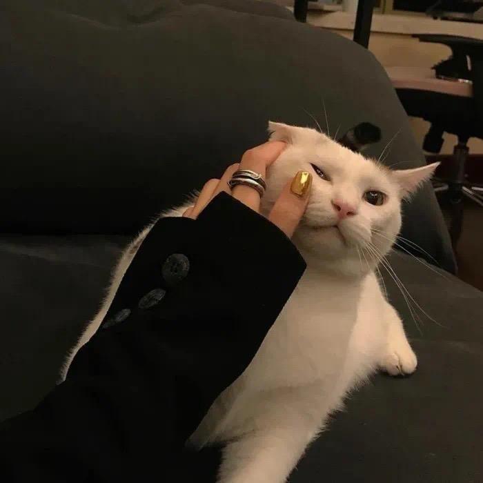 是李李啊