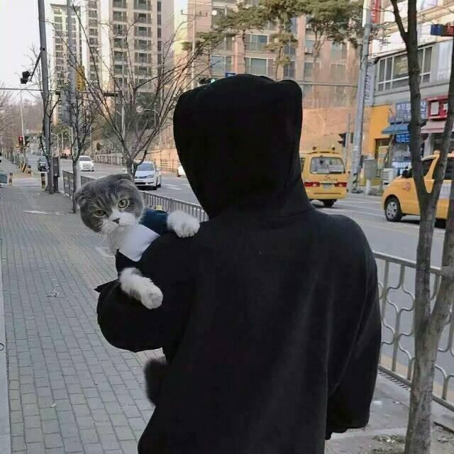 迪迦奥吐曼