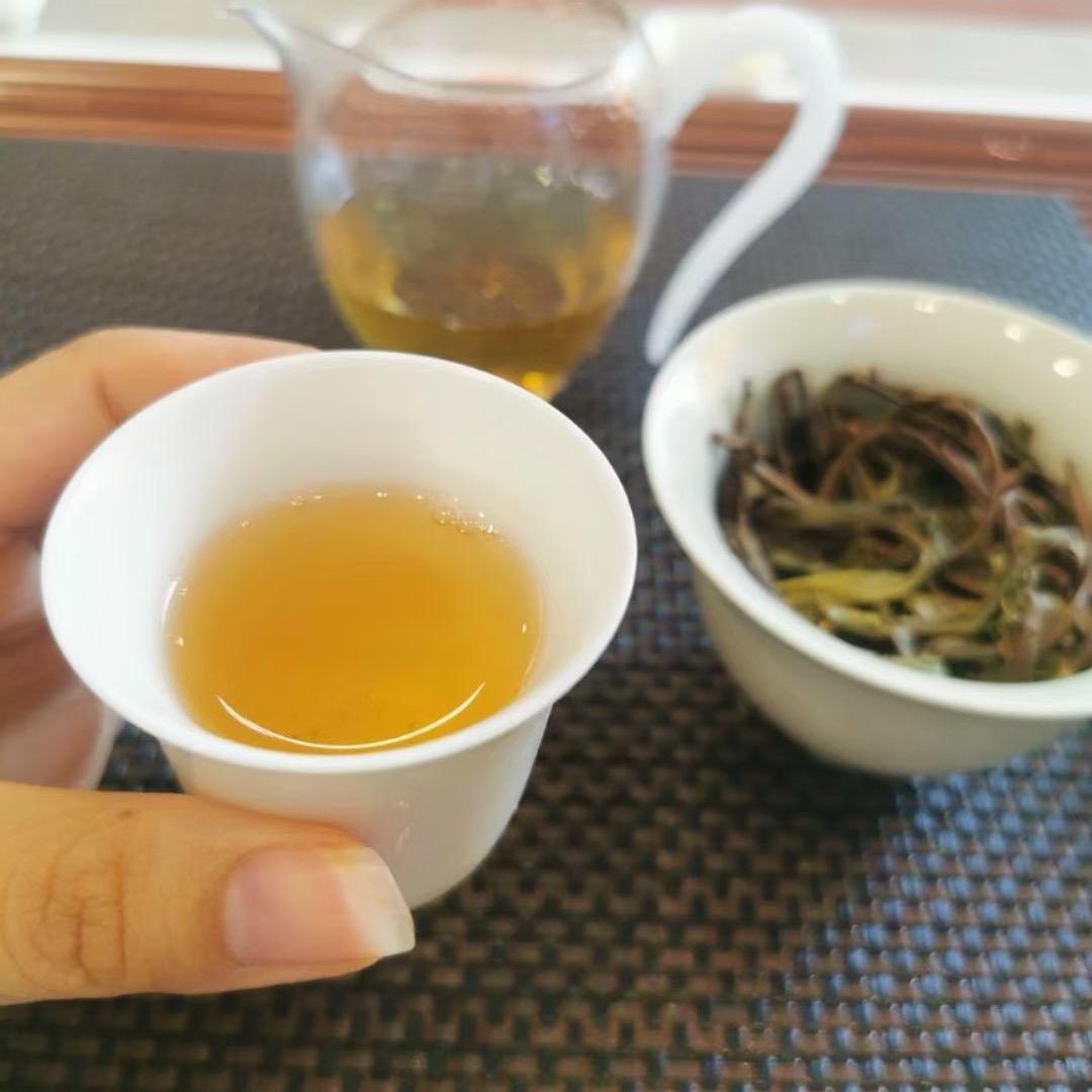 易武贡茶小姐姐🍃