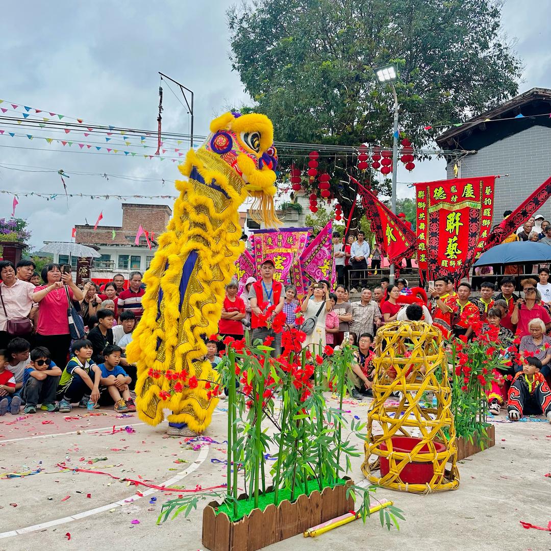 中國广东凤村宏藝龍獅團