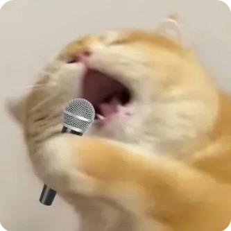 西小南呀.✨