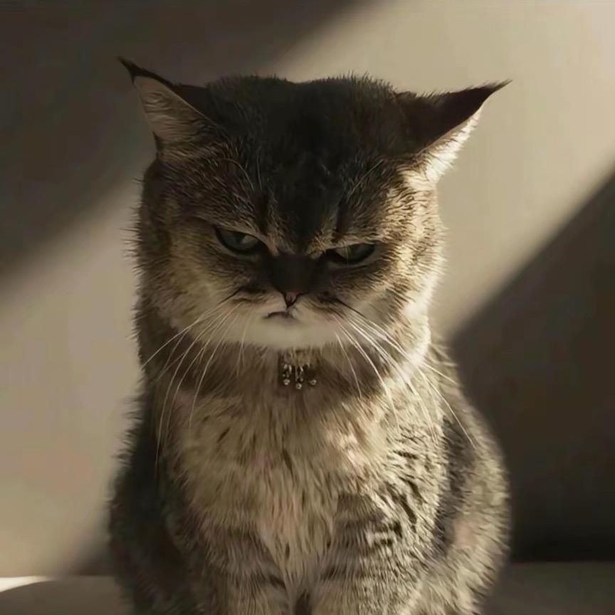 👻👻👻👻👻👻👻🐯