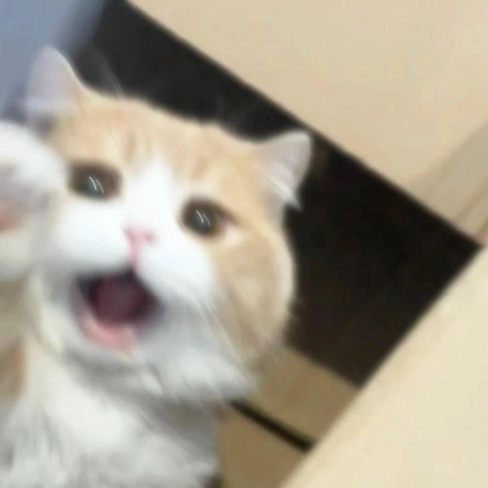 K_