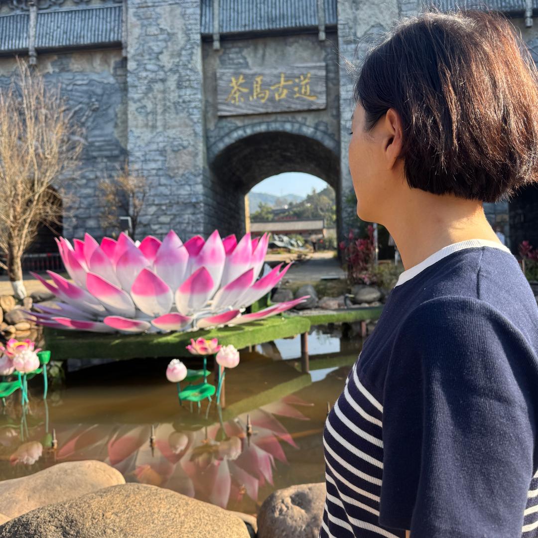 西双版纳雨林万象一姜姐