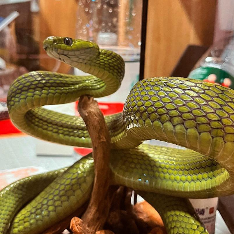 🌈开塞露摆烂工作室🐍