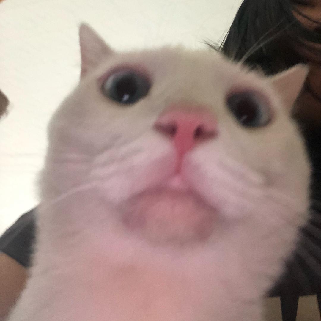 秋裤