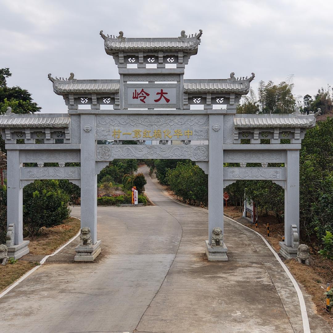 大岭古村橘號化橘红滋补