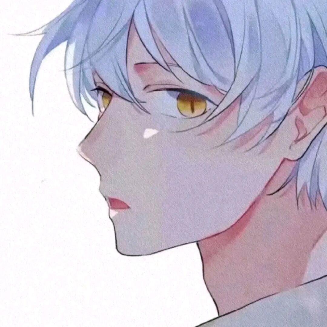 杨又串🌈