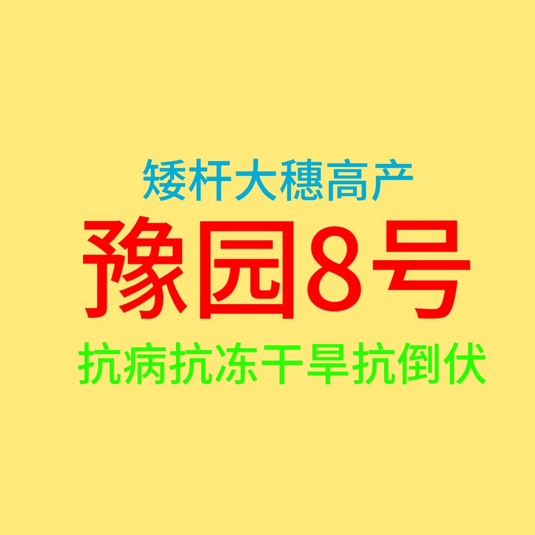 豫园8号   子孙满堂人人夸
