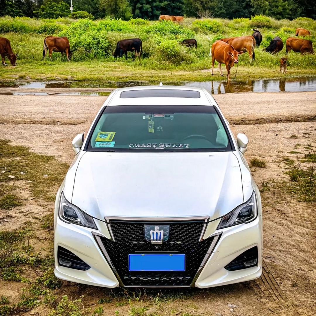 𝑪𝑹𝑶𝑾𝑵明🫥 🫥