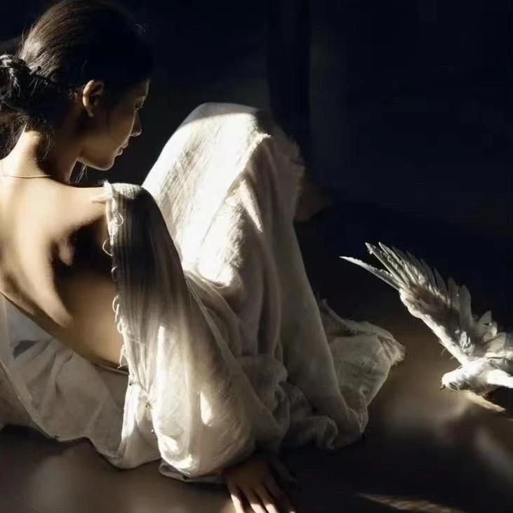 Huihui